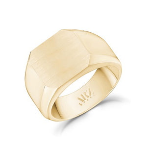 ARZ Steel Gold Steel Matte Signet Ring