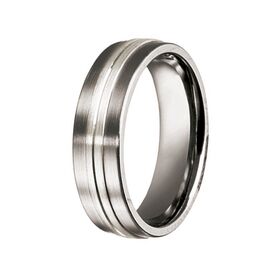 Titanium with Silver Inlay Wedding Band (7mm)